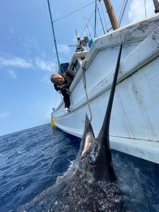 クロカワカジキ の釣果 21年3月5日 山正丸 千葉 大原港 船釣り予約 キャスティング船釣り予約