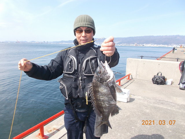 チヌ39cm 1匹 の釣果 21年3月7日 鳴尾浜臨海公園海づり広場 兵庫 その他 釣割