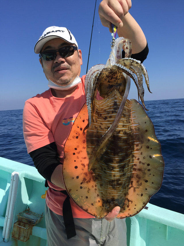 アオリイカ2 30kg 4匹 の釣果 21年3月10日 達丸 静岡 釣割