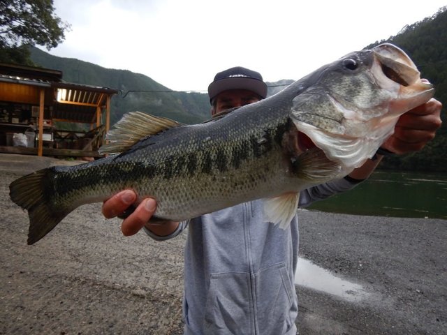 ブラックバス55cm の釣果 21年3月21日 Ts On 奈良 釣割