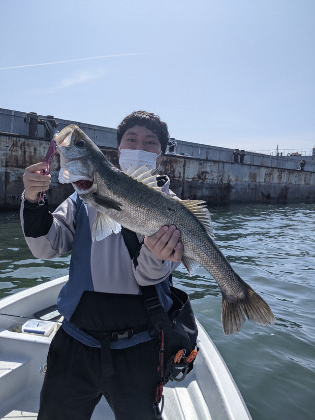 シーバス の釣果 21年4月1日 Fujiyama 大阪 大阪マリンターミナル 釣り船予約 釣割