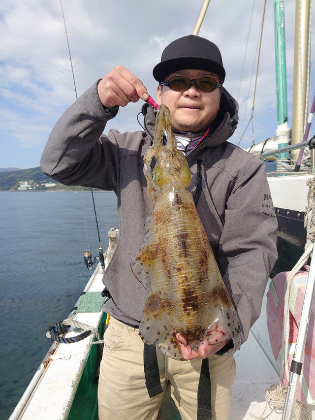 アオリイカ の釣果 21年4月12日 第五嘉丸 神奈川 釣割