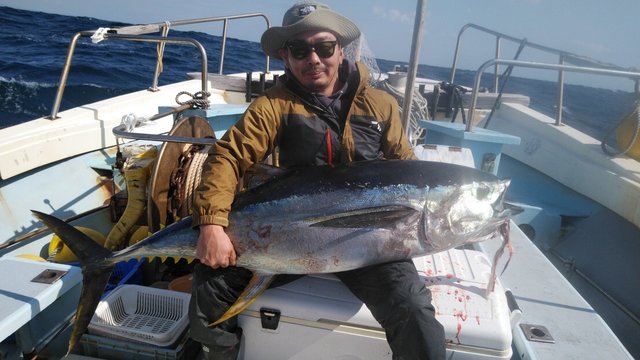 キハダ152cm 1匹 の釣果 21年4月12日 岡安丸 愛知 神島 釣割