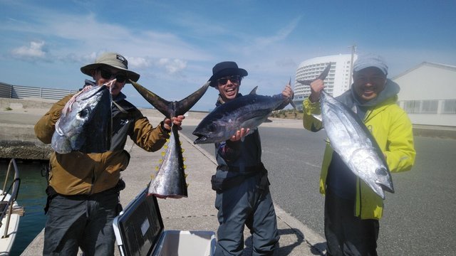 キハダ152cm 1匹 の釣果 21年4月12日 岡安丸 愛知 神島 釣割