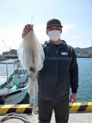 アオリイカ0 75kg 1匹 の釣果 21年4月14日 神谷荘 和歌山 神谷港 釣割