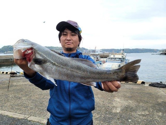 スズキ の釣果 21年4月16日 幸丸 佐賀 呼子港 釣割