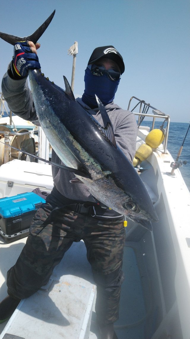 トンボ 2匹 の釣果 21年4月日 岡安丸 愛知 神島 釣割