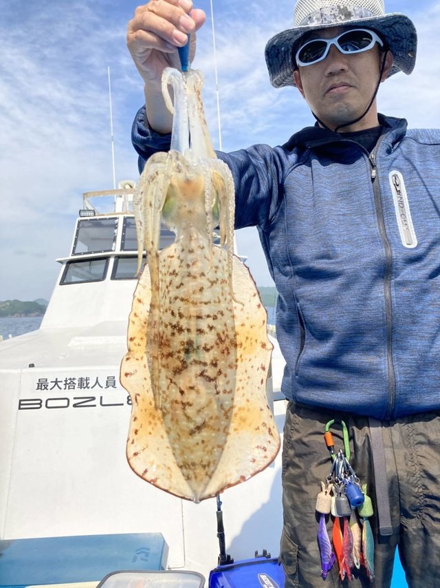 アオリイカ1 75kg 3匹 の釣果 21年4月24日 海侍丸 三重 釣割