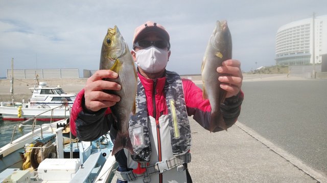 アジ30cm 3匹 の釣果 21年4月27日 岡安丸 愛知 神島 釣割