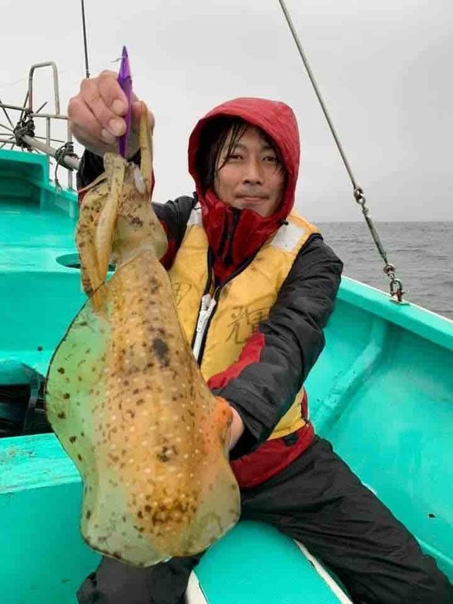 アオリイカ2 00kg 2匹 の釣果 21年5月6日 輝栄丸 千葉 釣割