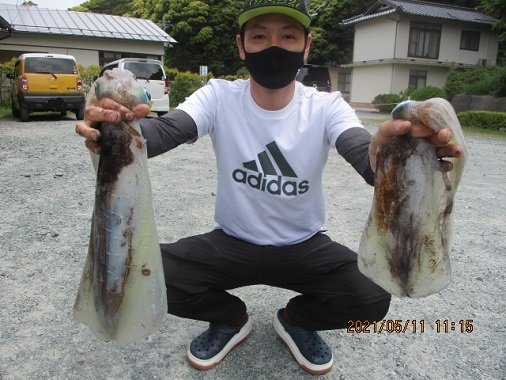 アオリイカ40cm 5匹 の釣果 21年5月11日 新留渡船 島根 浜田港 釣割