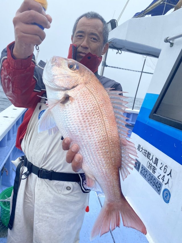 マダイ2 kg 7匹 の釣果 21年5月19日 不動丸 茨城 釣割