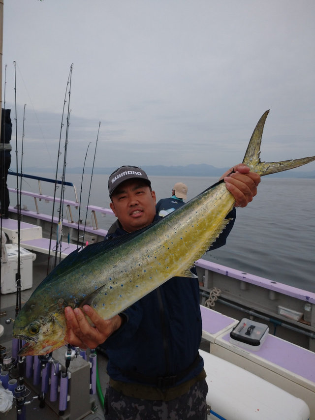 シイラcm の釣果 21年6月2日 庄三郎丸 神奈川 平塚港 釣割