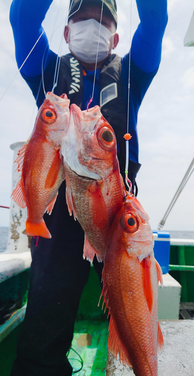 アカムツ1 30kg 4匹 の釣果 21年6月11日 第8寿広丸 静岡 手石港 釣割