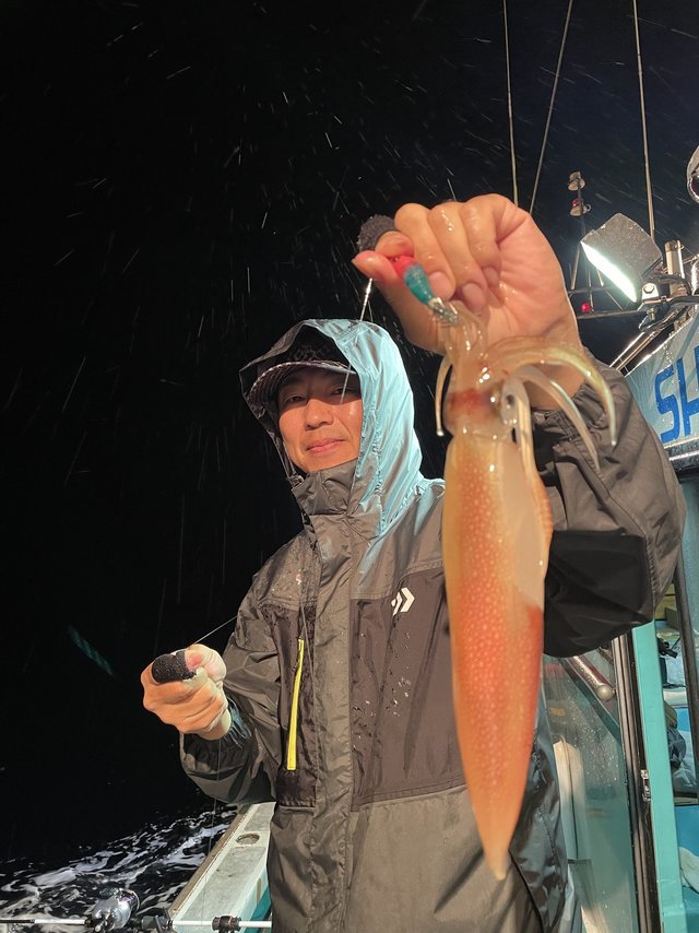 アカイカ18cm 35匹 の釣果 21年6月19日 良栄丸 和歌山 印南港 船釣り予約 キャスティング船釣り予約