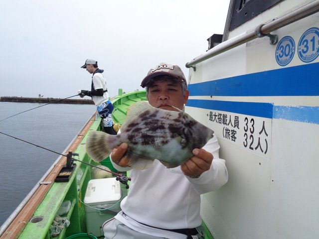 カワハギ36cm 9匹 の釣果 21年6月26日 やまてん丸 神奈川 久比里 船釣り予約 キャスティング船釣り予約