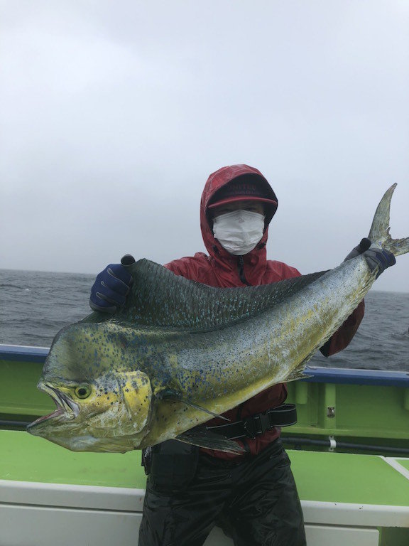 シイラ115cm 1匹 の釣果 21年7月4日 浅八丸 神奈川 平塚新港 船釣り予約 キャスティング船釣り予約