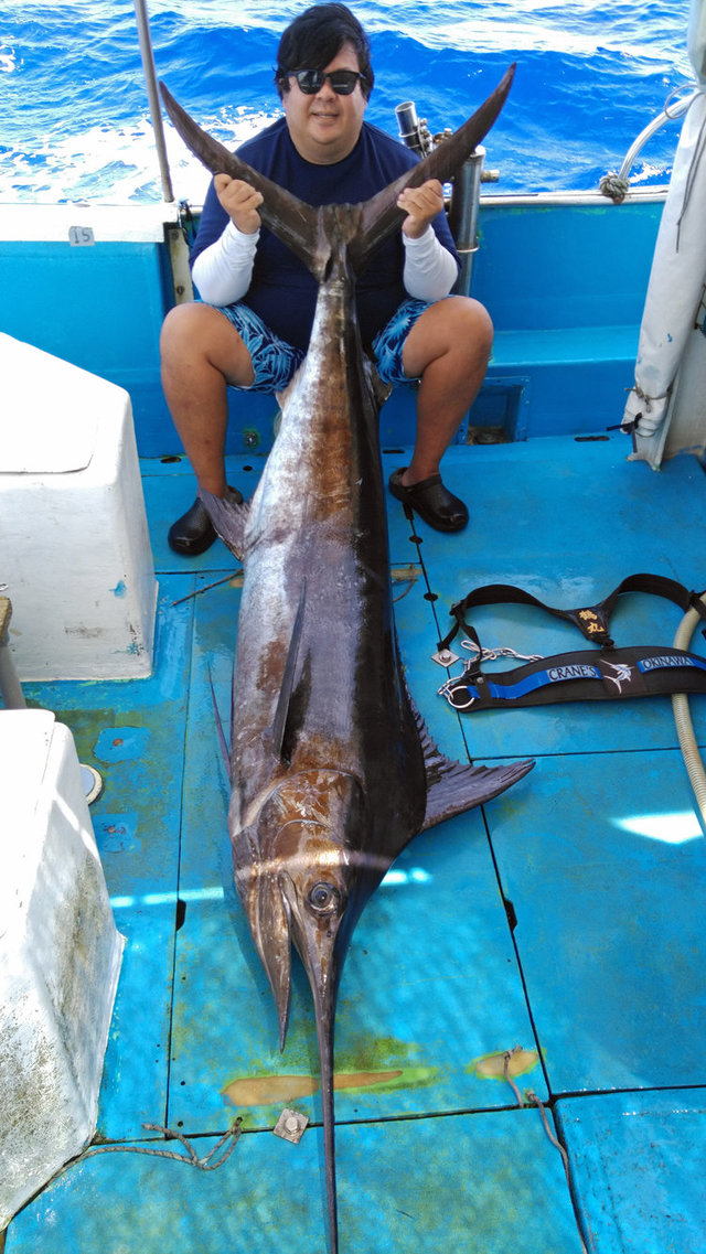 ブルーマーリン240cm 1匹 の釣果 21年7月16日 クレーンズ沖縄 沖縄 宜野湾マリーナ 釣割