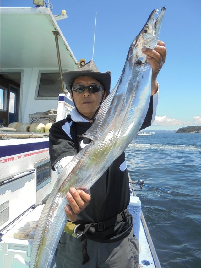 タチウオ115cm 12匹 の釣果 21年7月23日 浜新丸 千葉 釣割