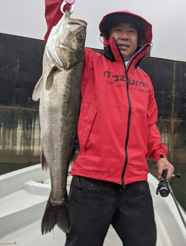 シーバス77cm 匹 の釣果 21年8月3日 Fujiyama 大阪 大阪マリンターミナル 釣割