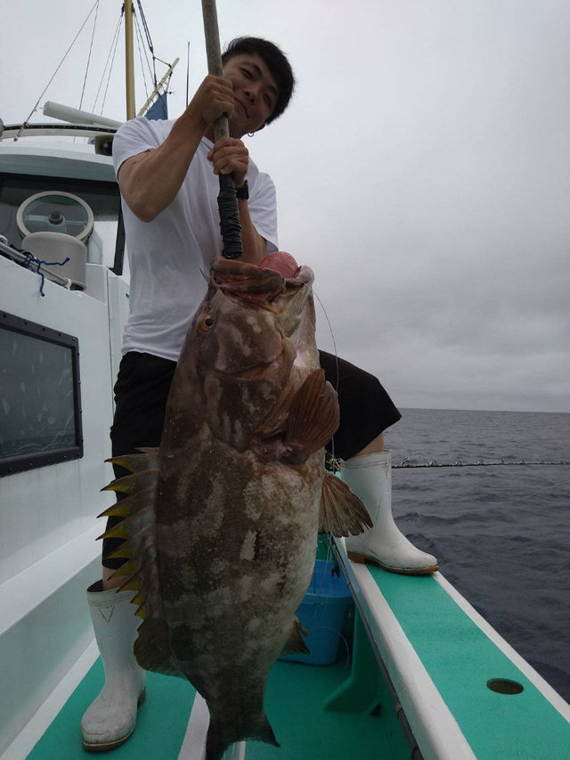 モロコ29 70kg 1匹 の釣果 21年8月17日 菊丸 静岡 下田港 船釣り予約 キャスティング船釣り予約