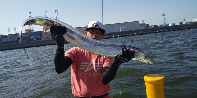 タチウオ115cm 29匹 の釣果 21年8月28日 渡辺釣船店 神奈川 横浜港 釣割