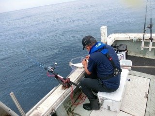 アコウ の釣果 21年9月1日 海釣り大好き 鳥取 酒ノ津西波止 釣割