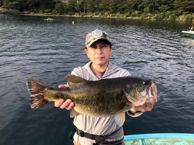 バス50cm 1匹 の釣果 21年9月7日 芦ノ湖フィッシングセンター おおば 神奈川 芦ノ湖 釣割