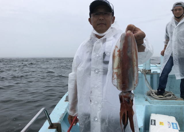 愛知県で釣れたケンサキイカの最新釣果 釣り情報 22年9月