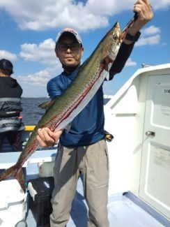 サワラ3 90kg 3匹 の釣果 21年9月日 宮川丸 千葉 木更津港 船釣り予約 キャスティング船釣り予約