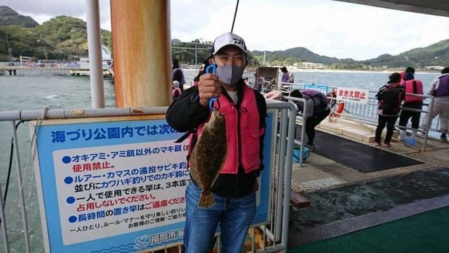 ヒラメ36cm の釣果 21年10月17日 福岡市海づり公園 福岡 その他 釣割