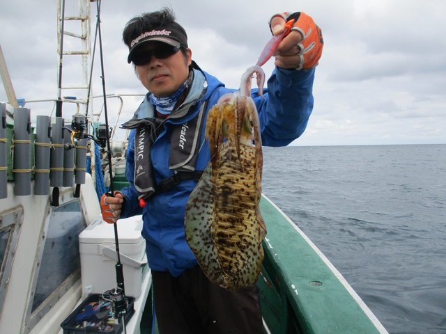 アオリイカ25cm 7匹 の釣果 21年10月26日 なかくに丸 新潟 寺泊港 船釣り予約 キャスティング船釣り予約