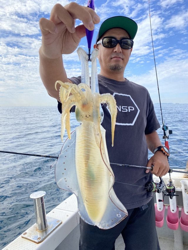 和歌山県で釣れたアオリイカの最新釣果 釣り情報 22年9月