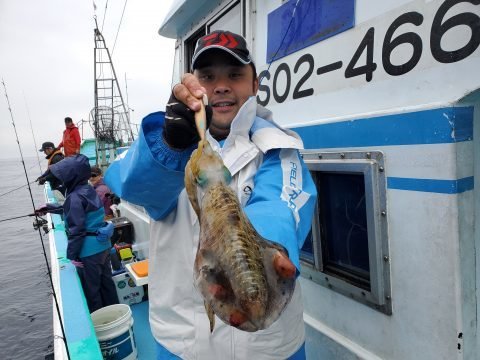 22年11月最新 ふじなみ丸 静岡県 の最新釣果情報