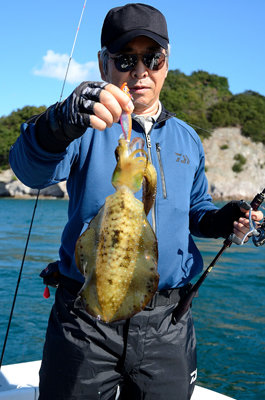 岡山県で釣れたケンサキイカの最新釣果 釣り情報 22年10月