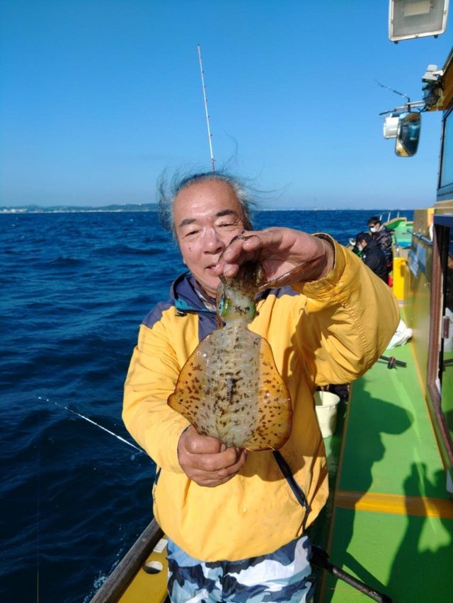 東京都で釣れたアオリイカの最新釣果 釣り情報 22年10月