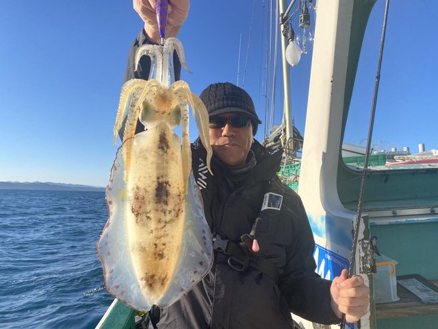 新潟県で釣れたアオリイカの最新釣果 釣り情報 22年8月