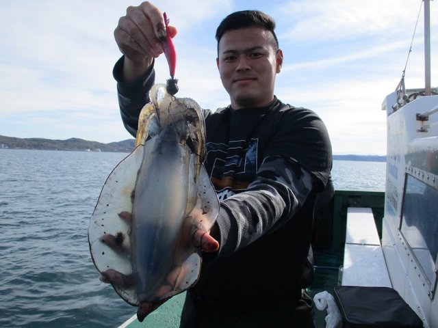 新潟県で釣れたアオリイカの最新釣果 釣り情報 22年8月