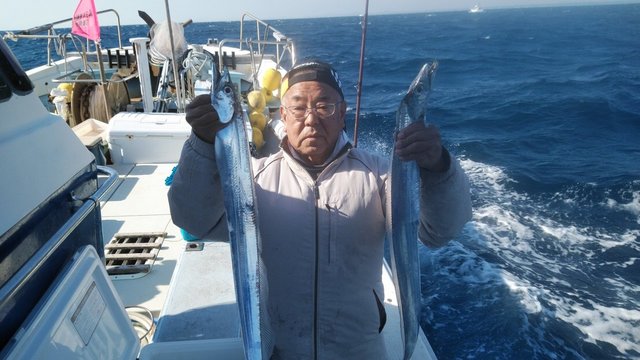 タチウオ 37匹 の釣果 21年11月15日 岡安丸 愛知 神島 釣割