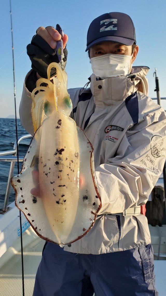 愛媛県で釣れたアオリイカの最新釣果 釣り情報 22年10月