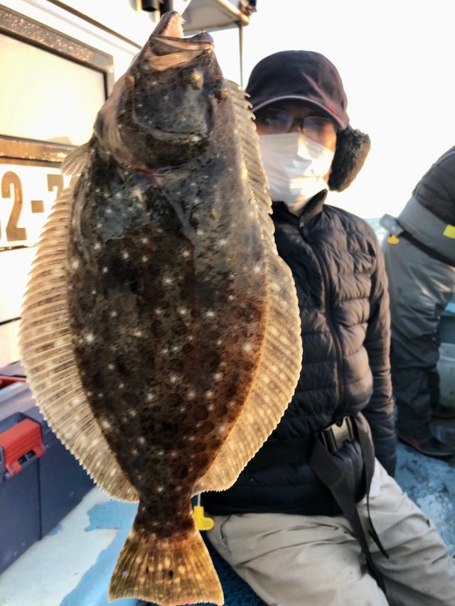 ソゲ の釣果 21年12月16日 力漁丸 千葉 大原港 釣割