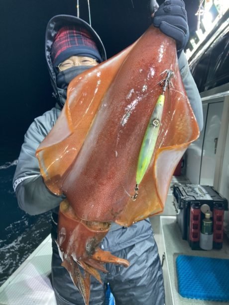 タルイカ の釣果 21年12月23日 泰丸 福井 釣割