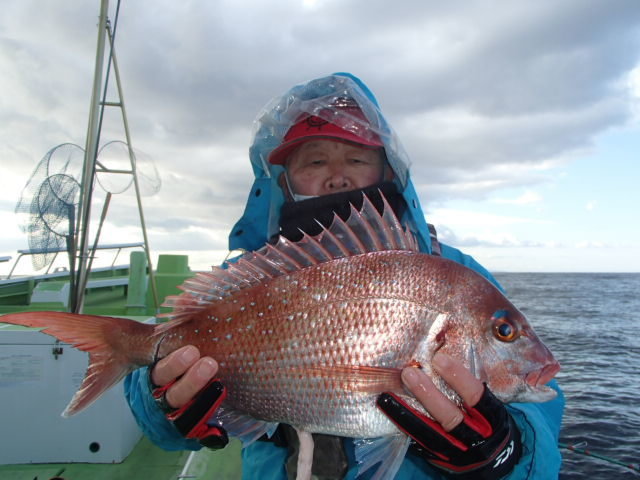 マダイ2 00kg 2匹 の釣果 22年1月13日 浜福丸 神奈川 釣割