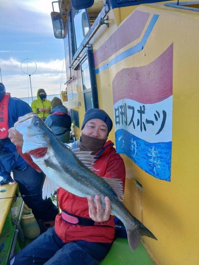 シーバス76cm 5匹 の釣果 22年1月15日 つり幸 神奈川 釣割