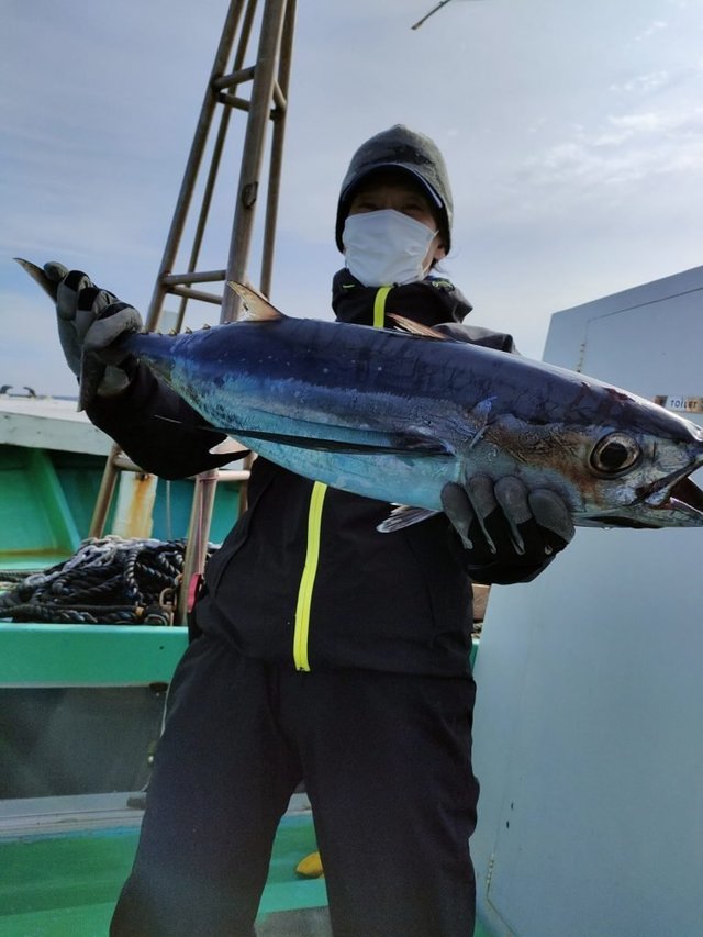 三重県で釣れたクロマグロの最新釣果 釣り情報 22年11月