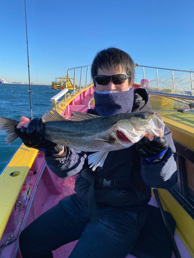 シーバス61cm 16匹 の釣果 22年2月7日 つり幸 神奈川 釣割