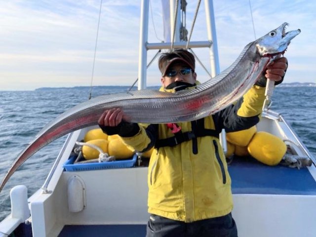 タチウオ134cm 12匹 の釣果 22年2月9日 ひらの丸 千葉 富津港 釣割