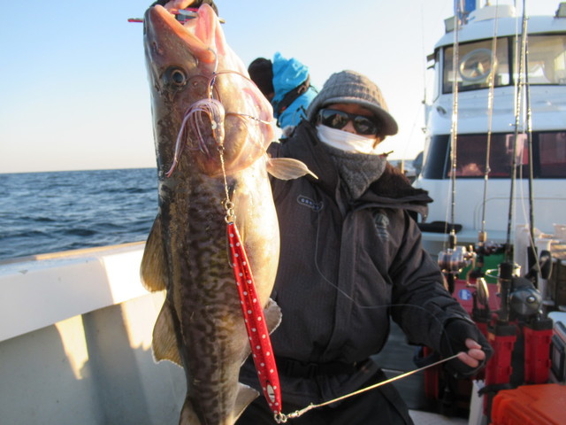 福島県で釣れたマダラの最新釣果 釣り情報 22年10月