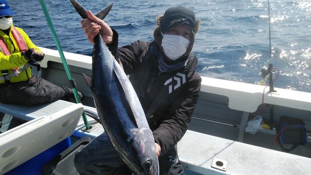 トンボ75cm 4匹 の釣果 22年2月26日 岡安丸 愛知 神島 釣割