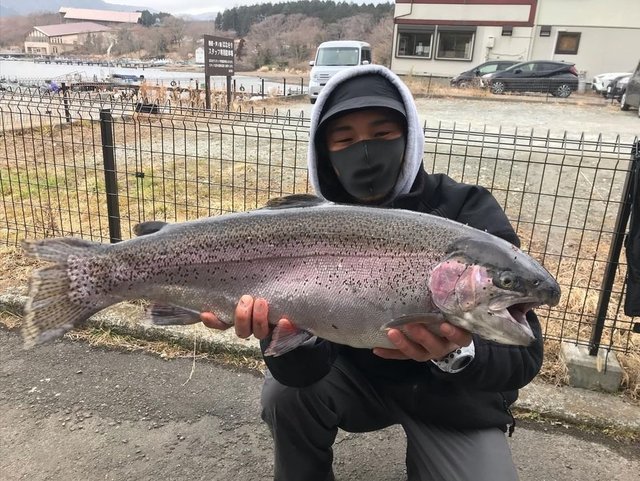 ニジマス69cm の釣果 22年3月1日 うえ乃 神奈川 芦ノ湖 釣割